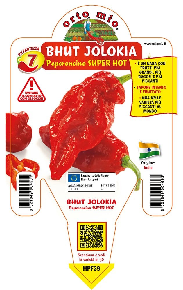 Peperoncino piccante SUPER HOT Bhut Jolokia (Big Naga Assam) - Pianta Vaso Cm.14 - Orto Mio