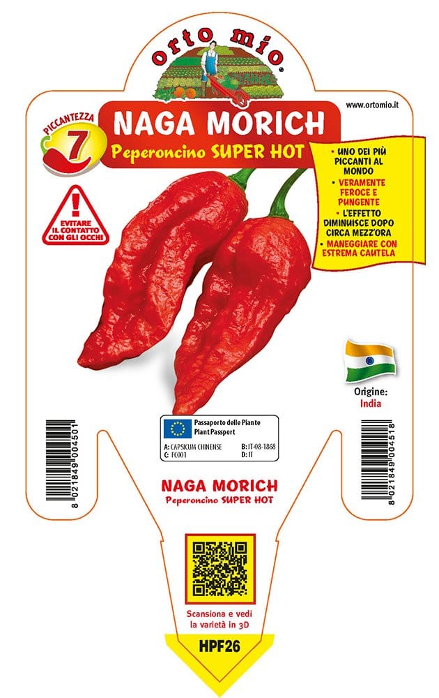 Peperoncino piccante SUPER HOT Naga Morich rosso - 1 pianta v.14 cm - Orto Mio