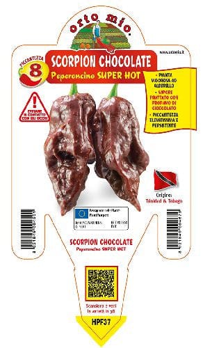 Peperoncino piccante Super Hot Scorpion Chocolate - 1 piante vaso 14 cm - Orto Mio