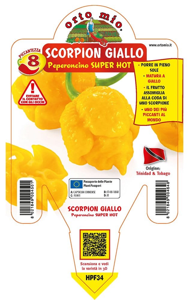 Peperoncino piccante SUPER HOT Scorpion giallo - 1 pianta v.14 cm - Orto Mio