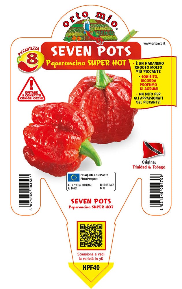 Peperoncino piccante SUPER HOT Seven Pots - 1 pianta v.14 cm - Orto Mio