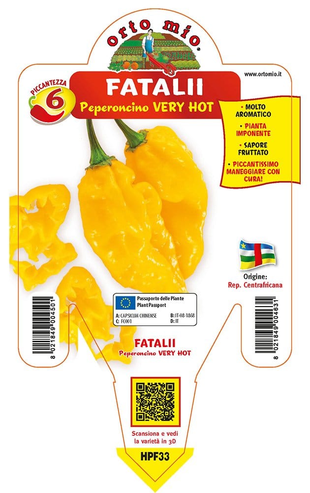 Peperoncino piccante very hot Fatalii - v. 14 cm - Orto Mio