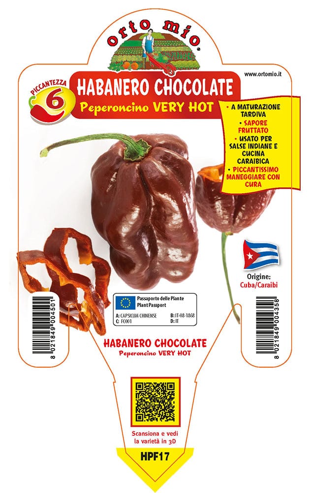 Peperoncino piccante VERY HOT Habanero chocolate - 1 pianta v.14 cm - Orto Mio
