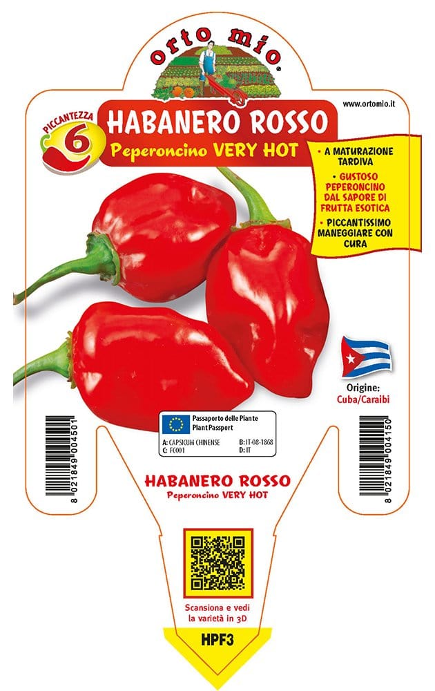 Peperoncino piccante VERY HOT Habanero rosso - 1 pianta v.14 cm - Orto Mio