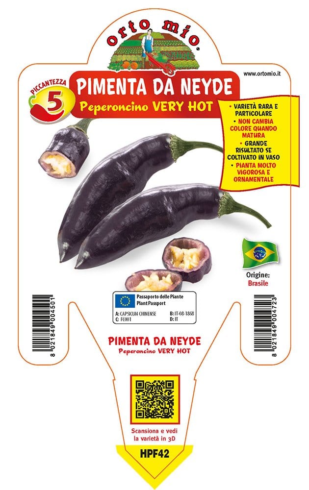Peperoncino piccante VERY HOT Pimenta Da Neyde - 1 pianta vaso 14 cm - Orto Mio
