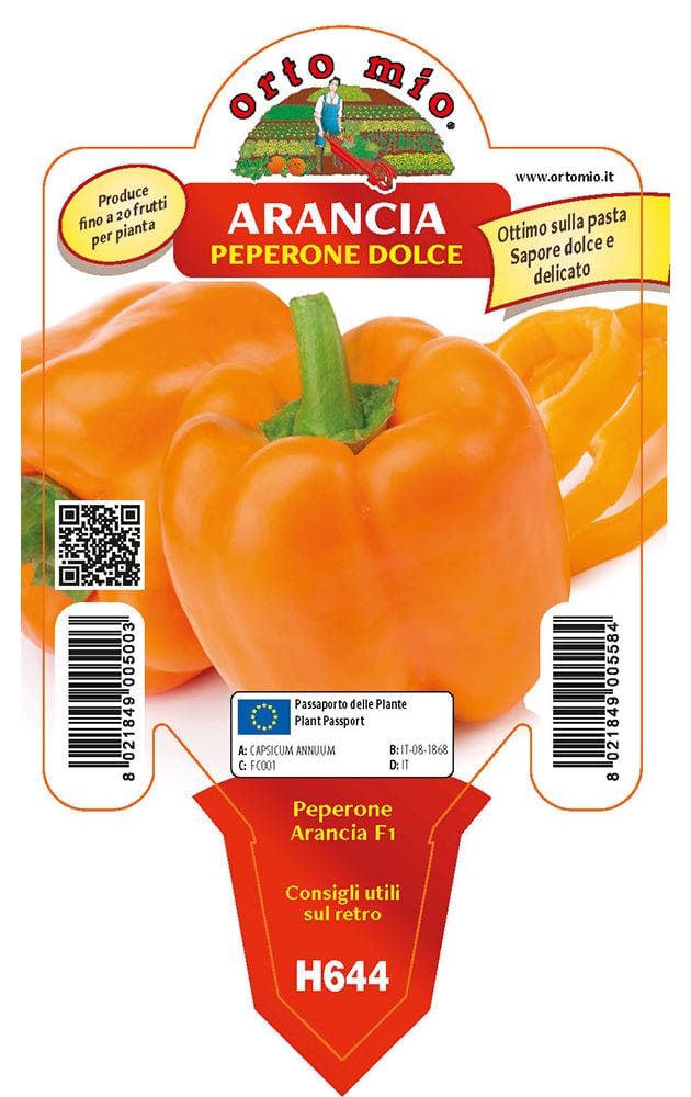 Peperone arancione Arancia F1 - 1 pianta v.10 cm - Orto Mio