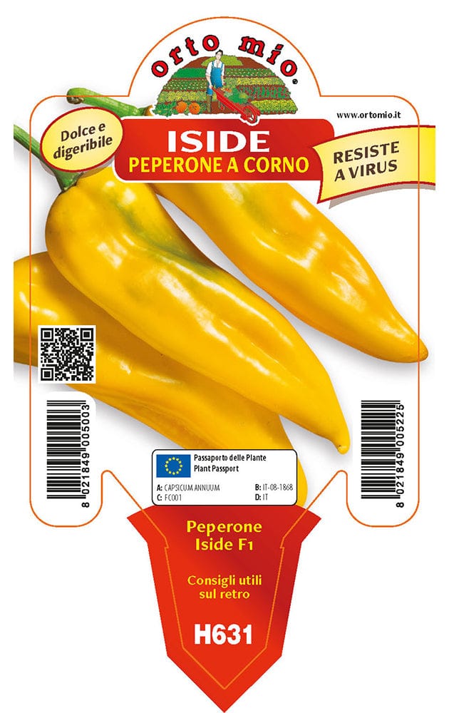 Peperone corno giallo Astor F1-Iside F1 - 1 pianta v.10 cm - Orto Mio