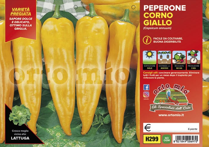 Peperone corno giallo Astor F1-Iside F1 - 6 piante - Orto Mio