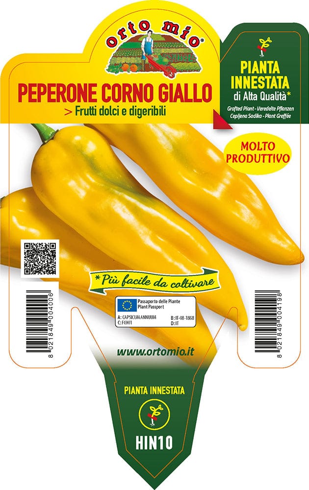 Peperone corno giallo giallo Astor F1-Iside F1 - 1 pianta innestata v.14 cm - Orto Mio