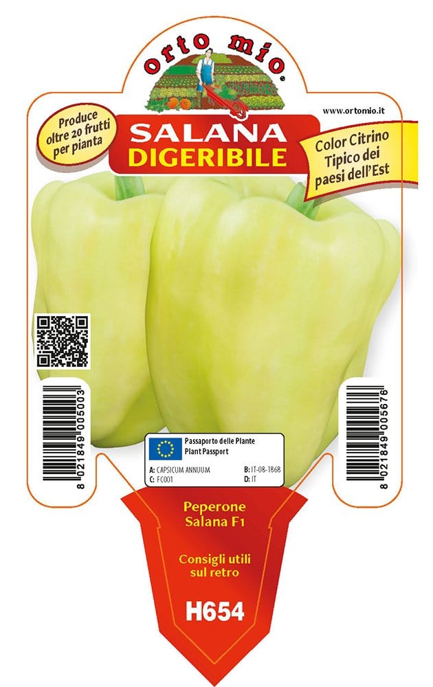 Peperone digeribile Citrino salana Laguna F1 - 1 pianta v.10 cm - Orto Mio