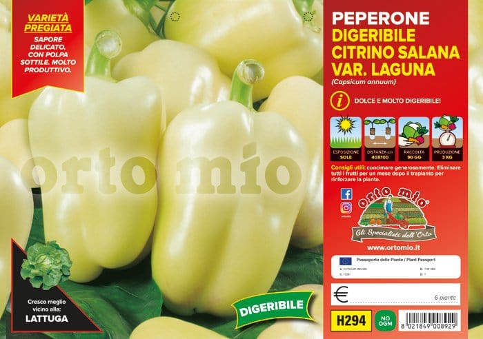 Peperone digeribile Citrino salana Laguna F1 - 6 piante - Orto Mio