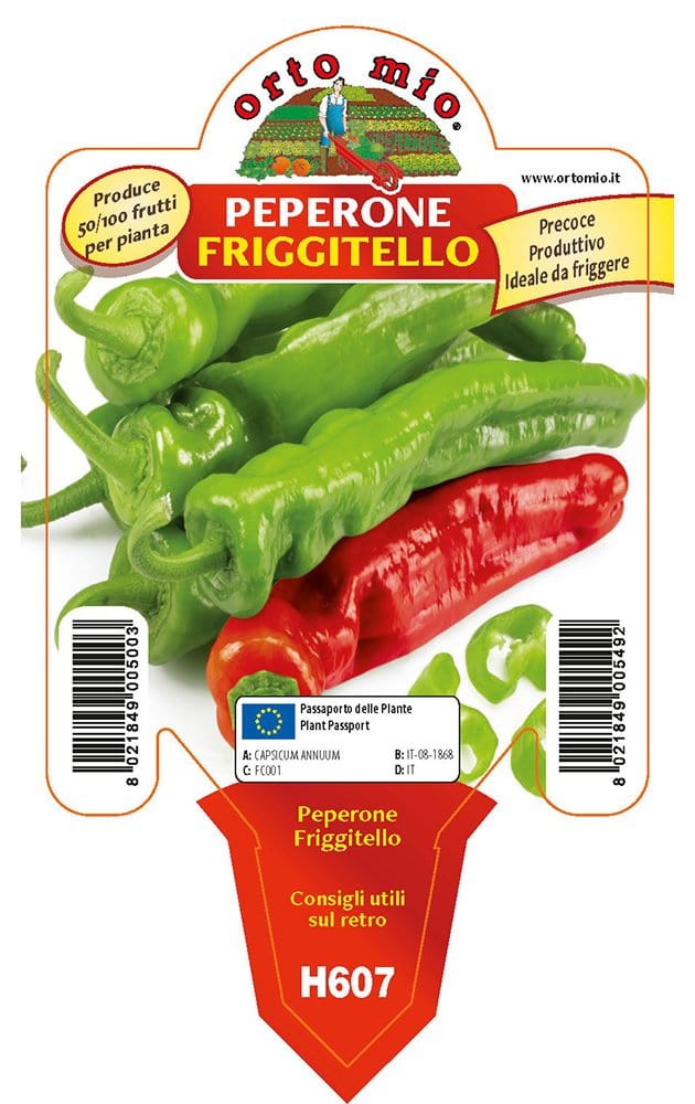 Peperone friggitello Torricello F1-Isotta F1 - 1 pianta v.10 cm - Orto Mio