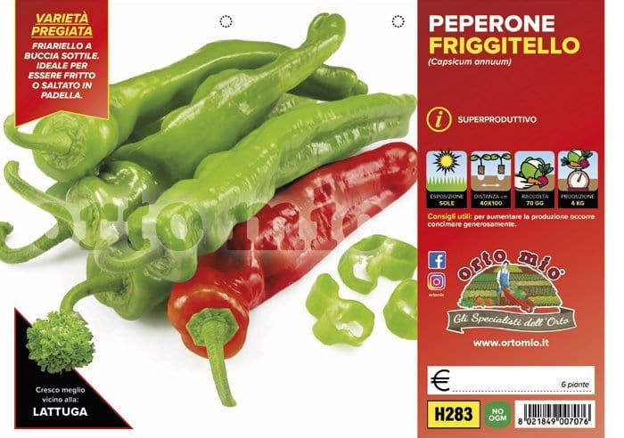 Peperone friggitello Torricello F1-Isotta F1 - 6 piante - Orto Mio