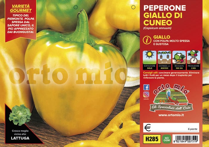 Peperone giallo di cuneo F1 - 6 piante - Orto Mio