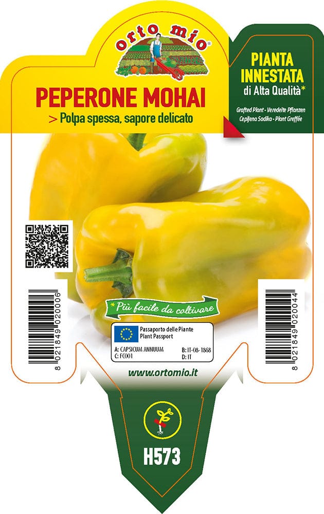 Peperone giallo Mohai F1 - 1 pianta innestata v.10 cm - Orto Mio