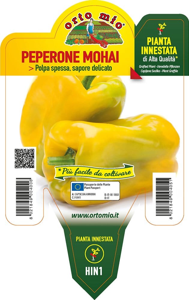 Peperone giallo Mohai F1 - 1 pianta innestata v.14 cm - Orto Mio