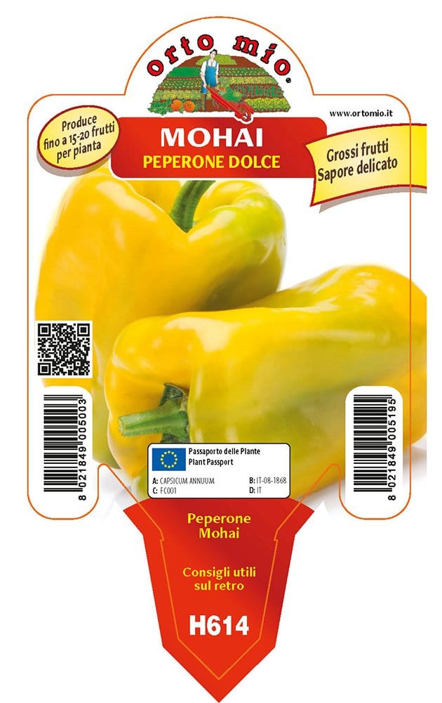 Peperone giallo Mohai F1 - 1 pianta v.10 cm - Orto Mio