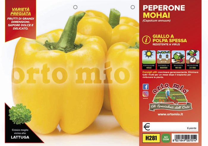 Peperone giallo Mohai F1 - 6 piante - Orto Mio