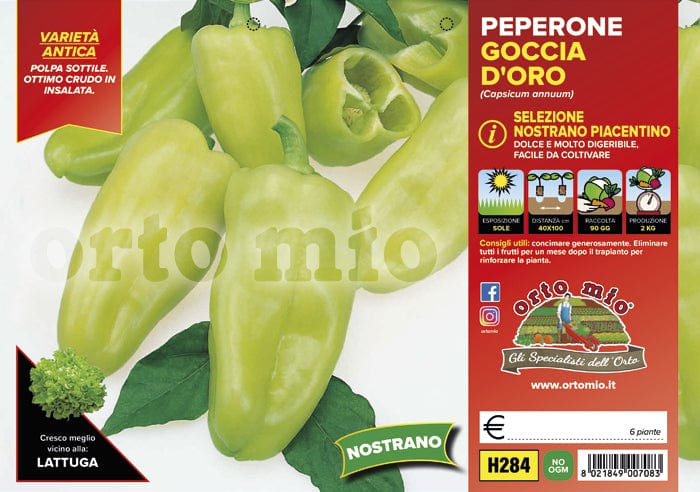 Peperone nostrano Piacentino Goccia d′Oro - 6 piante - Orto Mio