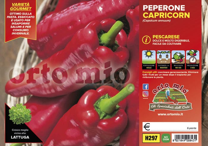 Peperone pescarese Capricorn F1 - 6 piante - Orto Mio