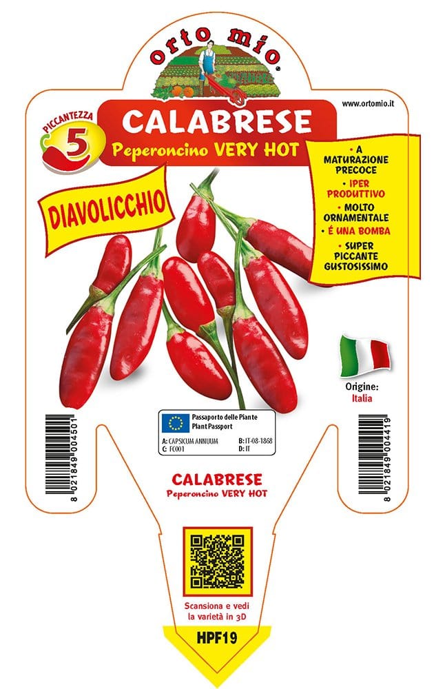 Peperone piccante calabrese diavolicchio Italico F1 - 1 pianta v.14 cm - Orto Mio