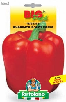 Peperone Quadrato d'Asti Rosso Big Pack - L'Ortolano