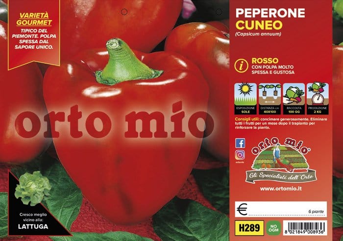 Peperone rosso di cuneo F1 - 6 piante - Orto Mio