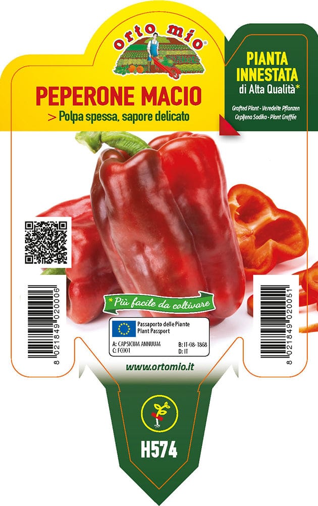 Peperone rosso Macio F1 - 1 pianta innestata v.10 cm - Orto Mio