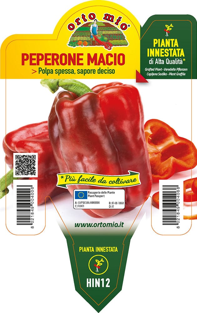 Peperone rosso Macio F1 - 1 pianta v.14 cm - Orto Mio