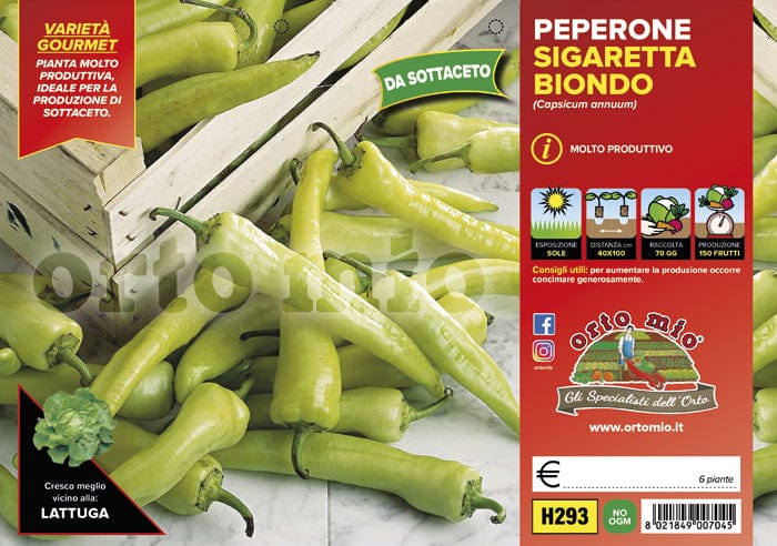 Peperone sigaretta biondo da sottaceto - 6 piante - Orto Mio