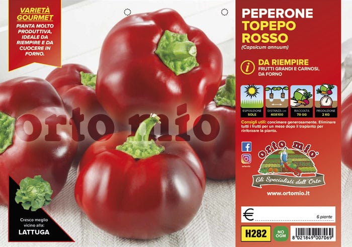 Peperone Topepo da riempire Indus F1-Twister F1 - 6 piante - Orto Mio