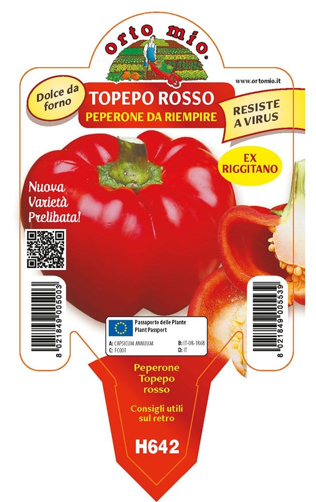 Peperone Topepo riempire Indus F1-Twister F1 - 1 pianta v.10 cm - Orto Mio
