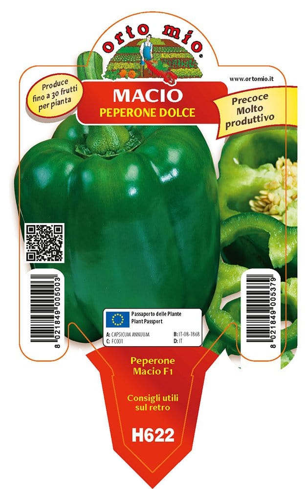 Peperone verde Macio F1 - 1 pianta v.10 cm - Orto Mio