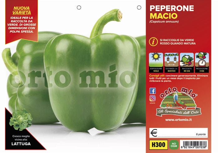 Peperone verde Macio F1 - 6 piante - Orto Mio