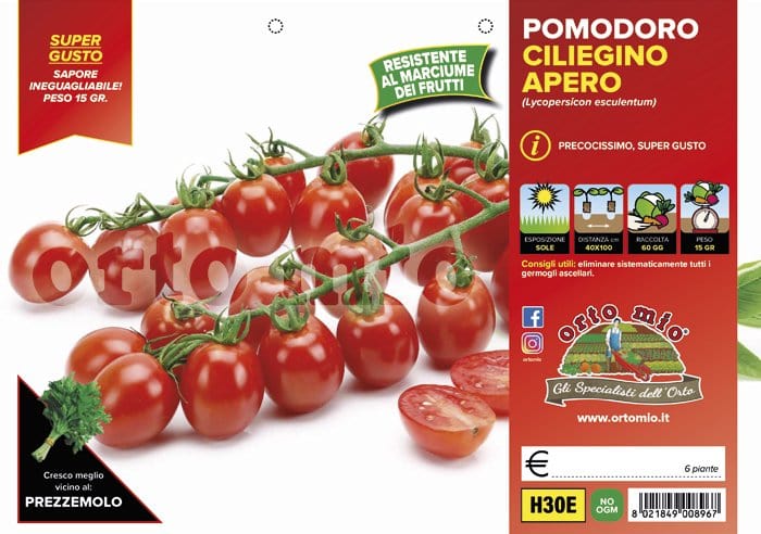 Pomodoro ciliegino dolcissimo Apero F1 -  6 piante - Orto Mio