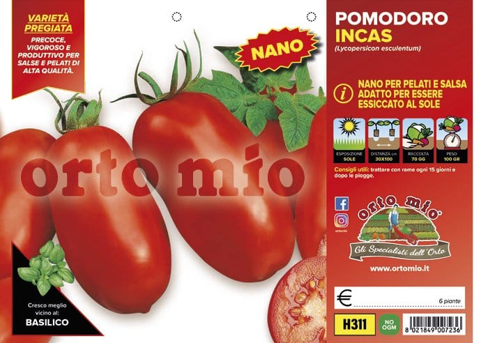 Pomodoro da salsa (nano) san marzano da pelati-essiccato Incas F1 - 6 piante - Orto Mio