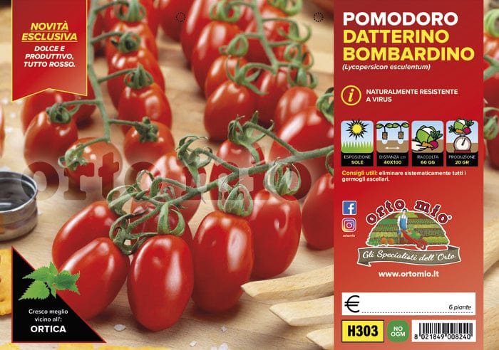 Pomodoro Datterino Bombardino F1 - 6 piantine - Orto Mio
