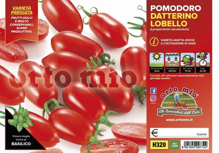Pomodoro datterino Lobello F1 - 6 piante - Orto Mio