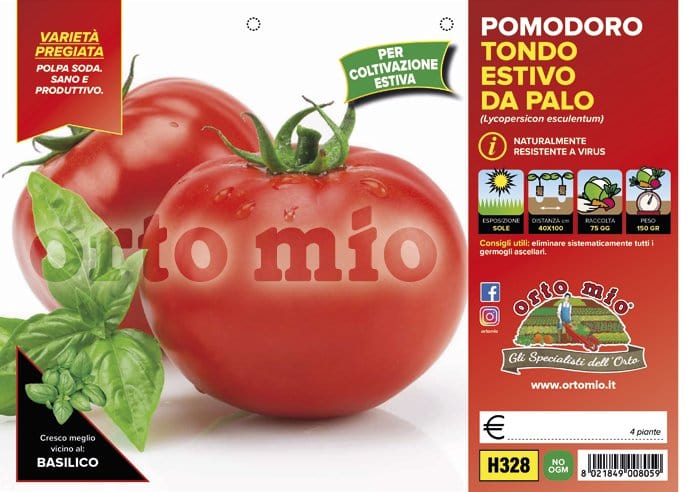 Pomodoro tondo estivo da palo Pintino F1 - 6 piante - Orto Mio