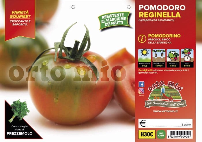 Pomodoro tondo Yup sardo Reginella F1 - 6 piante - Orto Mio