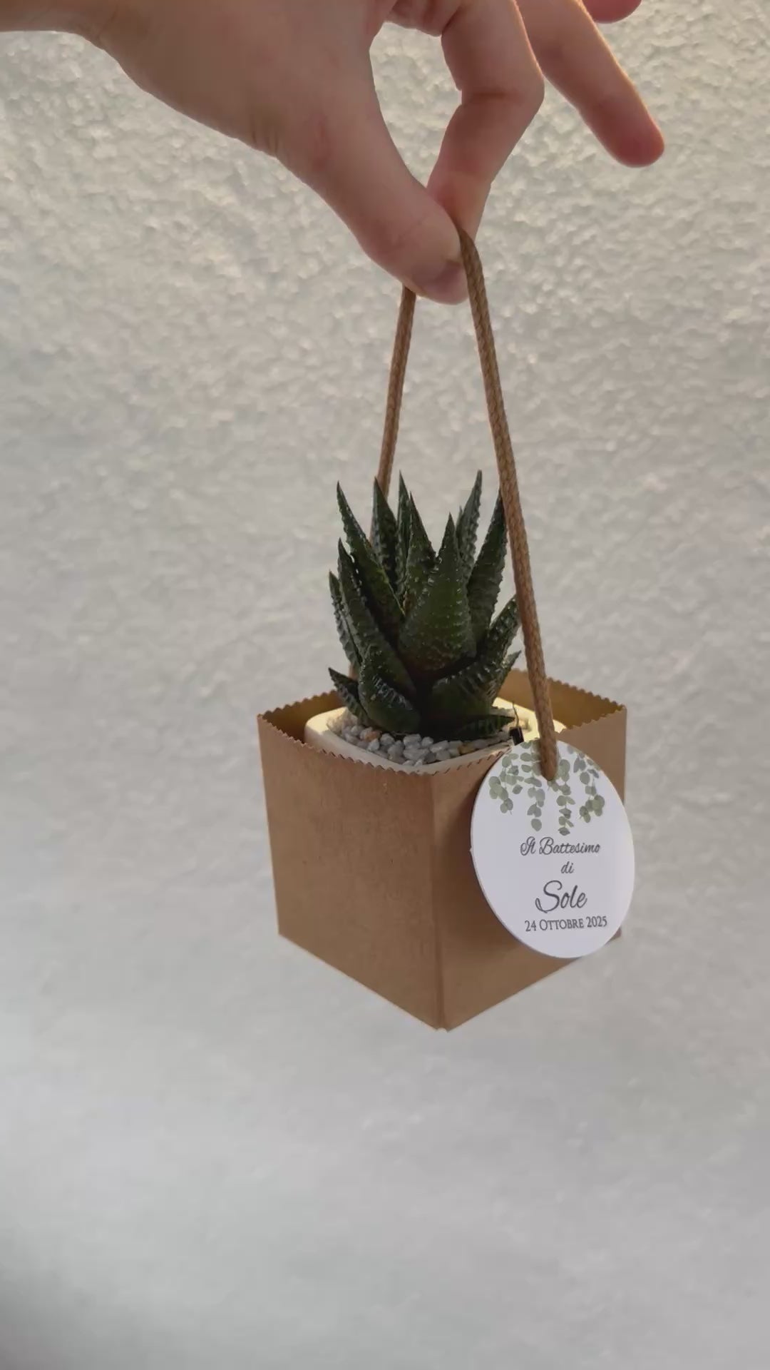 Set 5 Scatoline per Bomboniere 6,5cmx6,5cmx6,5cm