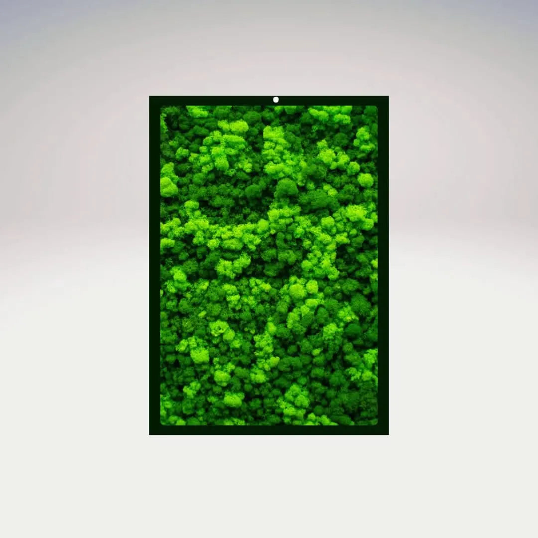 Quadri Rettangolari di Muschio e Lichene