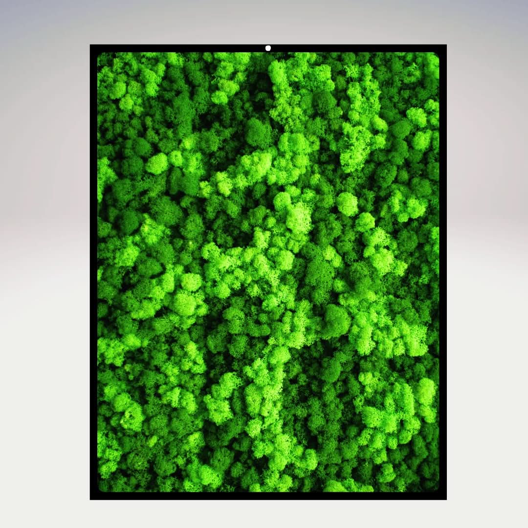 Quadri Rettangolari di Muschio e Lichene