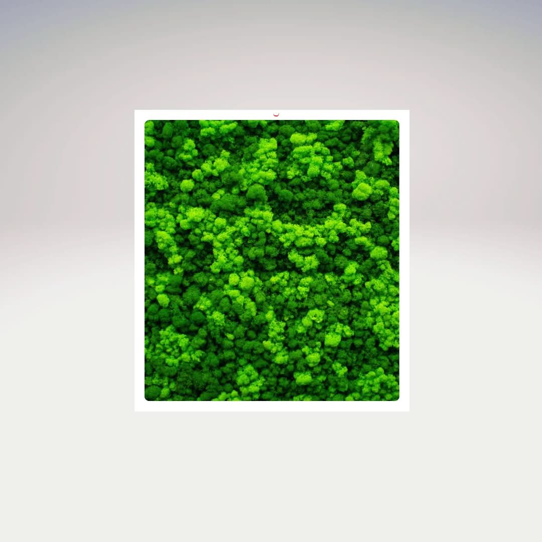 Quadri Rettangolari di Muschio e Lichene