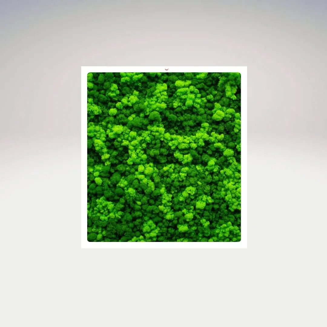 Quadri Rettangolari di Muschio e Lichene