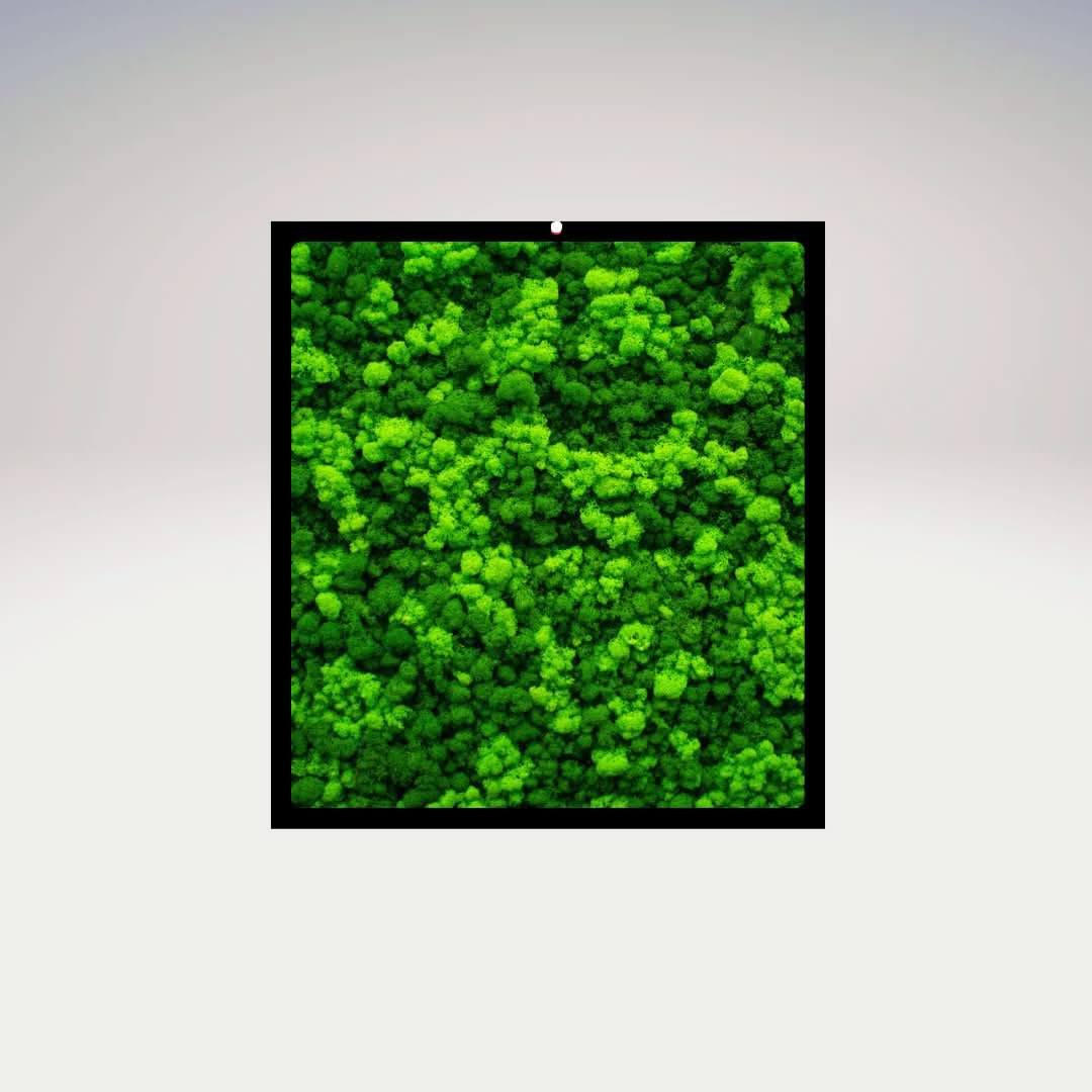 Quadri Rettangolari di Muschio e Lichene