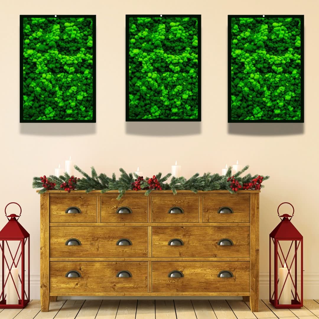 Quadri Rettangolari di Muschio e Lichene