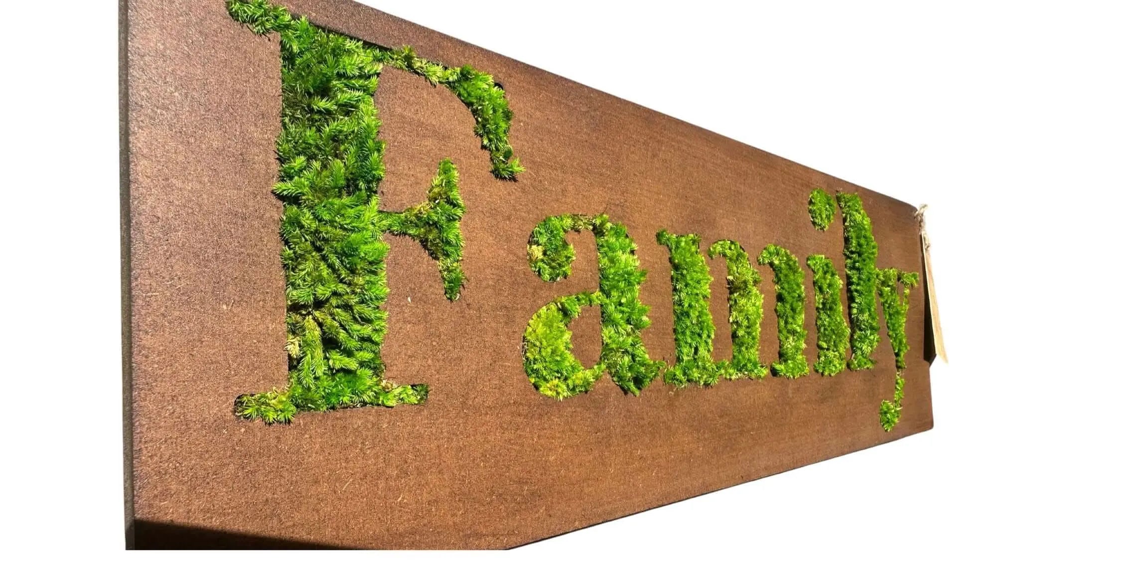 Quadro in Muschio Stabilizzato con Scritta FAMILY Rettangolare – 40x18 cm | Decorazione Verde