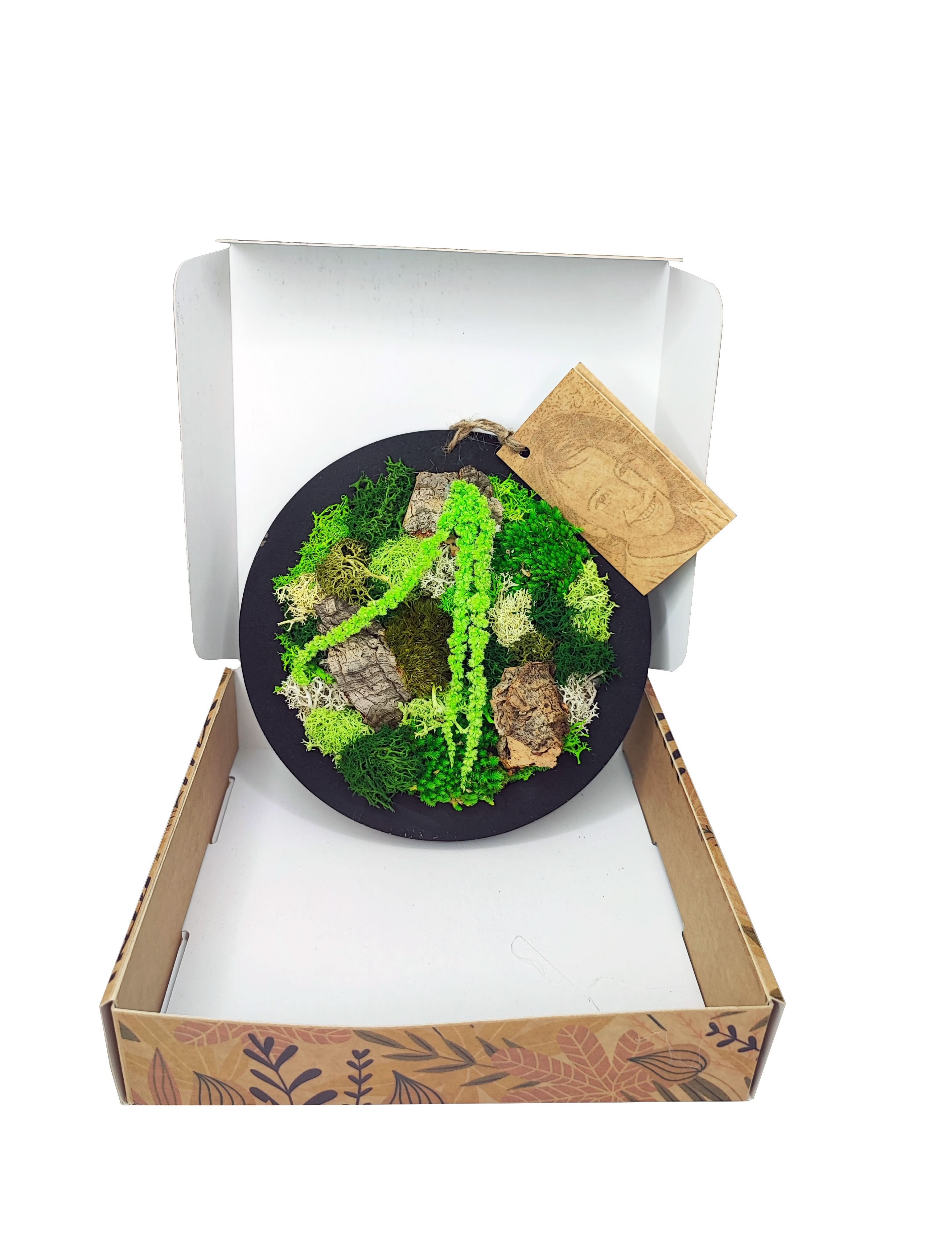 Quadro tondo nero di muschio e licheni