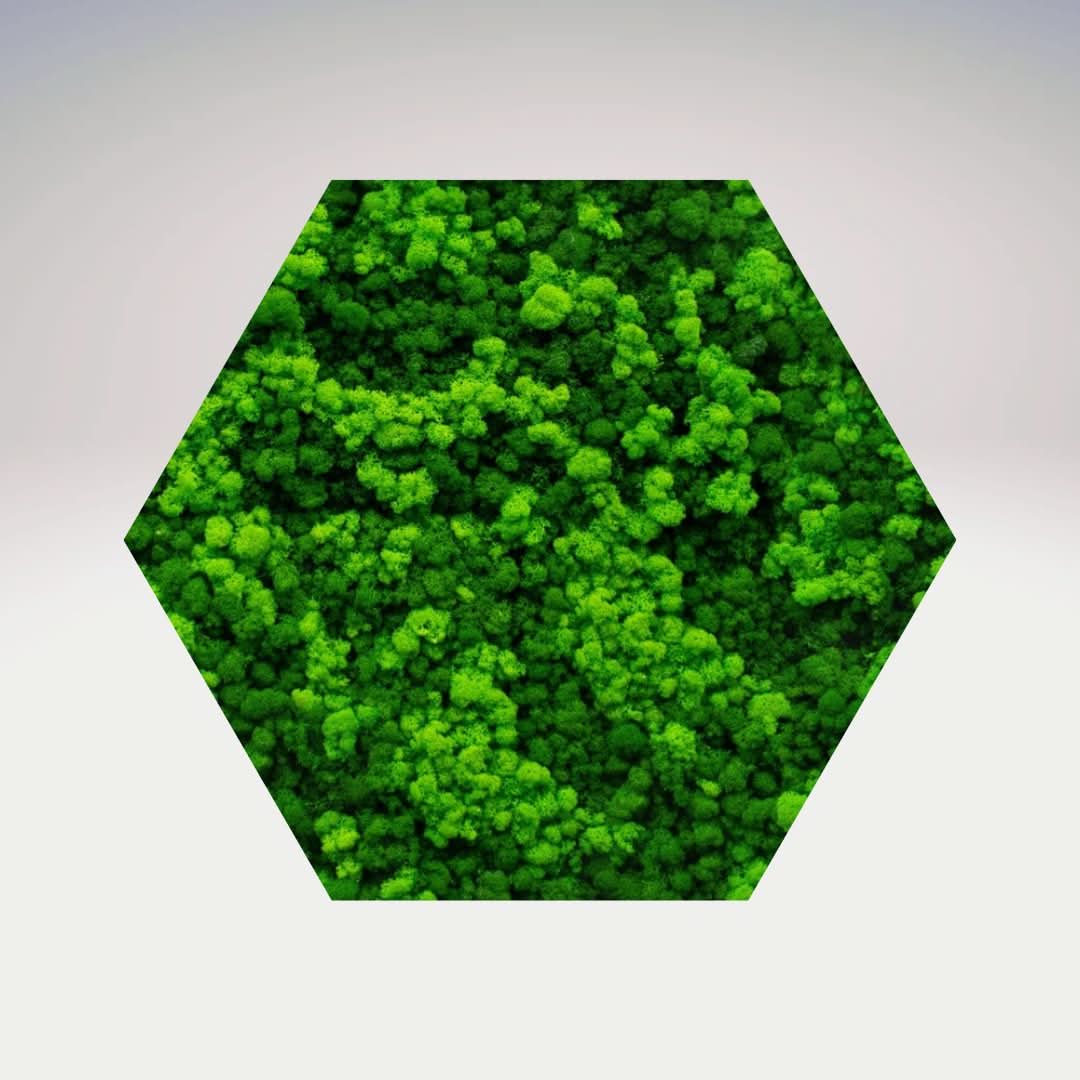 Quadro verde preservato Esagono Viridem